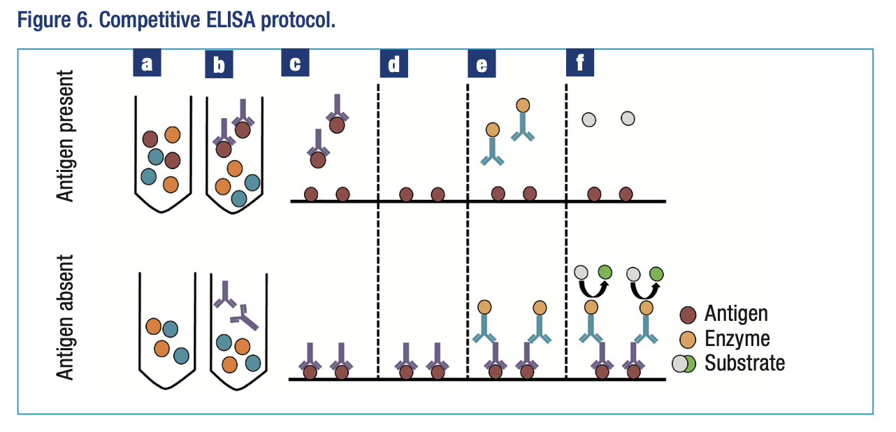 Competitive Elisa