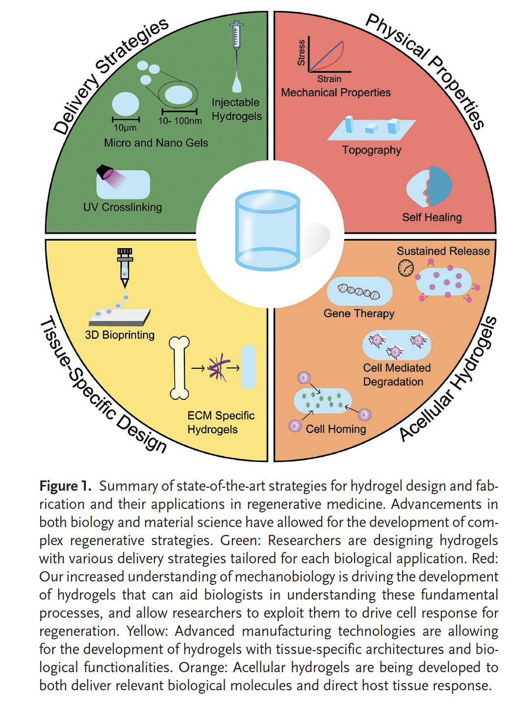 Use of hydrogels in medicine